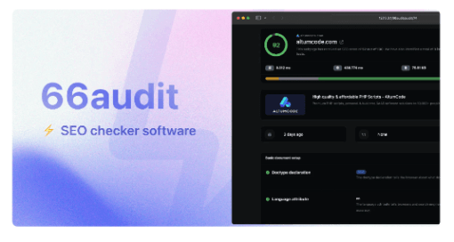 66audit